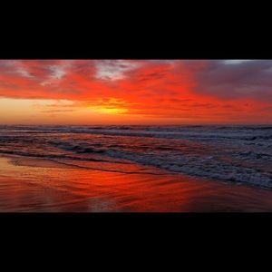 Meet your Posher, Ivan